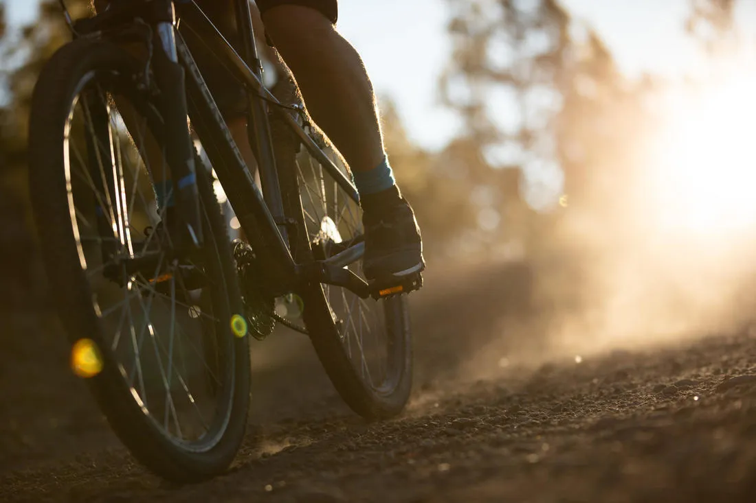 ST 100 Mountain Bike Shoes